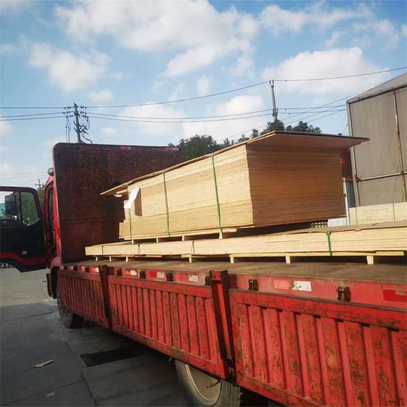 东阳到河北物流公司——一站式服务，让货运更便捷